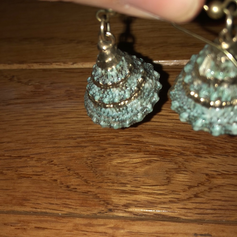 2 pack of seashell earrings